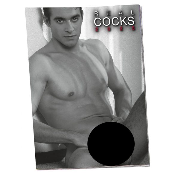 Men's calendar - 2023 (1pc) 