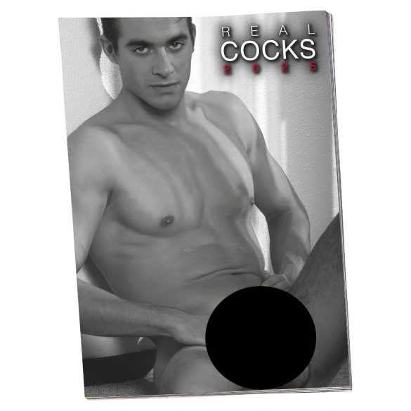 Naked men's calendar 2024 (10pcs) 