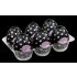 TENGA Egg Lovers - Masturbation Egg (6pcs) 