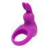 Happy Rabbit Vibrating Cock Ring with Storage Pouch (Purple) 