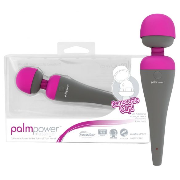 PalmPower Massage Vibrator with Interchangeable Head 