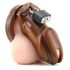 CB-6000 - Luxury Wooden Chastity Device with Lock 