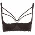 Cottelli Plus Size - Strappy, Ringed Push-Up Bra (Black)  - 85E