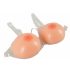 Cottelli - Silicone Push-Up Attachable Breasts (2 x 1200g) 