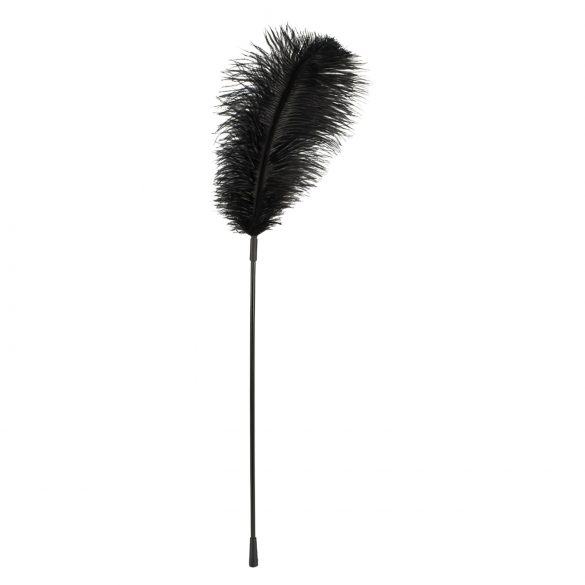 Bad Kitty - Feather Tickler (Black) 