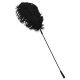 Bad Kitty - Feather Tickler (Black) 