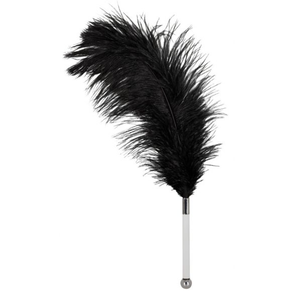 Ostrich Feather Duster, Short, with Acrylic Handle (Black) 