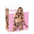 Bad Kitty - Bondage Body Harness with Bra Set (Black) 