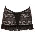 Cottelli - Lace Mini Dress with Choker (Black) 