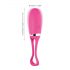 Dorcel Secret Delight - Remote Control Vibrating Egg (Pink)