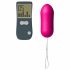 Dorcel Secret Vibe - Rechargeable Wireless Vibrating Egg (Pink) 