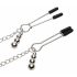 Fifty Shades of Grey - Nipple Clamps with Collar (Black-Silver) 