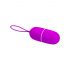 Pretty Love Arvin - Radio Controlled Vibrating Egg (Pink) 