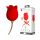 Pretty Love Rose Lover - Rechargeable Tongue 2in1 Clitoral Vibrator (Red) 