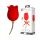 Pretty Love Rose Lover - Rechargeable Tongue 2in1 Clitoral Vibrator (Red) 