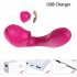 Tracy's Dog 2 - Air Pulse 2in1 Vibrator (Pink)