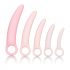 CalExotics Inspire - Health & Wellness Vaginal Dilator Set (Pink)