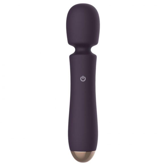 Raytech - Rechargeable, Waterproof Massage Vibrator (Purple) 