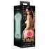 Enlust Tasha - Glow-in-the-Dark Sensual Set with AI Images (Natural)