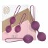 Engily Ross Kelly - 2-Piece Purple Kegel Ball Set 