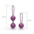 Engily Ross Kelly - 2-Piece Purple Kegel Ball Set 