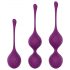 Ross Taylor 2.0 - 3-Piece Kegel Ball Set (Purple) 