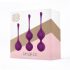 Ross Taylor 2.0 - 3-Piece Kegel Ball Set (Purple) 