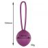 Engily Ross Leigh - Silicone Kegel Ball (Purple) 