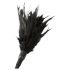 Sei Mio - Feather Tickler (Black)