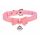 Golden Kitty Bow Collar with Bell (Pink) 