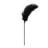 EasyToys - Long Feather Tickler (Black) 