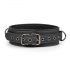 Easytoys Fetish Collar with Leash (Black) 