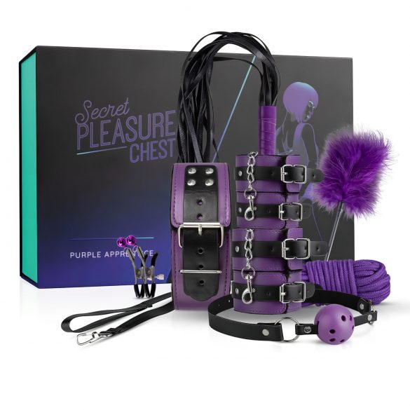 Secret Pleasure Chest - Advanced BDSM Kit (14 Pieces)