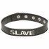 X-Play Slave Collar (Black) 