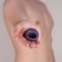 Je Joue Mio - Rechargeable, Waterproof Vibrating Cock Ring (Purple) 