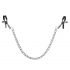 S&M - Nipple Clamps with Chain (1 Pair) 