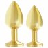 Rianne - 2-Piece Luxury Anal Set (Gold) 