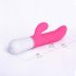 LOVENSE Nora - Rechargeable Vibrator 