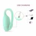 Mint Smart Kegel Ball (Mint) 